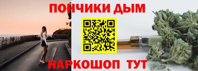 амф Дубна
