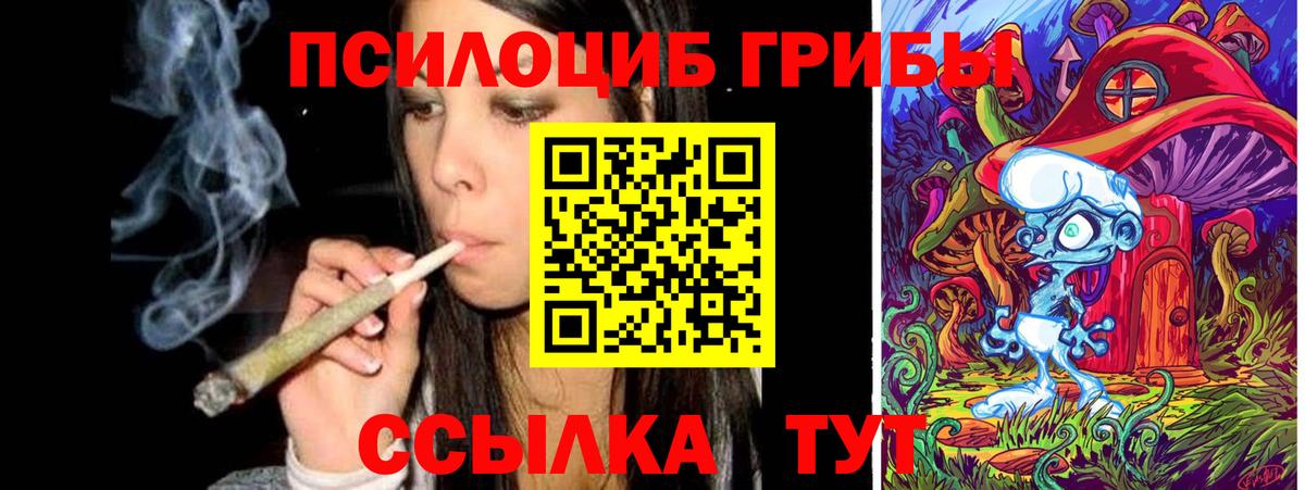 Галлюциногенные грибы прущие грибы Вологда