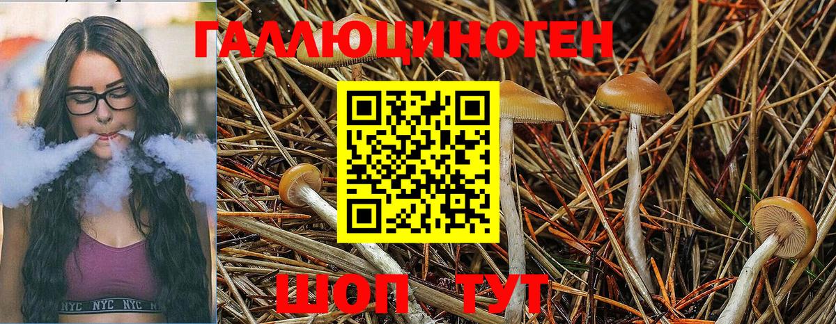 Галлюциногенные грибы MAGIC MUSHROOMS  Вход с VPN  Псилоцибиновые грибы ЛСД  Вологда 
